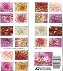          usps Sheet  booklet Of Forever Stamps Floral Retired Unused        