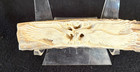 Double Eagle Wings Antler Figurine Bali Detailed Carving  Carved Both Sides