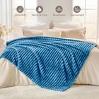 Blue Striped 330gsm Soft Plush Fleece Throw Blanket 50x60 Inch