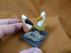  y-bir-pe-403  Pair Of Pelicans Green  Tan   White Love Bird Gemstone Stone Peru