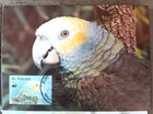 Parrots St Vincent 1989 Complete Set Of 4 First Day Maximum Cards Wwf Unaddr