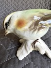 Vintage Goebel W Germany Firecrest Bird On Branch Glossy Porcelain Figurine 1978