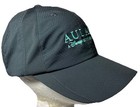 Nike Hat Heritage86 Golf Cap Walt Disney Hawaii Aulani Dri Fit Embroidered Beach