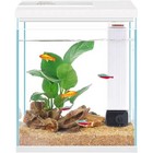 2 Gallon Betta Fish Tank Starter Kit Glass Aquarium W  Filter Led Light New
