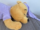 Disney Parks Winnie The Pooh Dream Friends Sleeping Pooh Plush Pilllow 20      