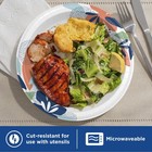 210 Count Dixie Everyday Disposable Paper Plates  10   Multi-color