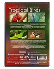 Relaxation Dvd - Tropical Birds With Music Or Nature Sound Calming Scenes Of   