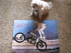 Evel Knievel Stand Up Wheelie Poster 18x24 - There Is Only One Evel  Last Stock 