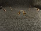 Vintage Arco B l 1 10 12k Gold-filled  gf  Eyeglasses  Wire Half Rim W  Case