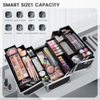 Professional Makeup Train Case Extra Large Cosmetic Organizer Box 6 Trays With S