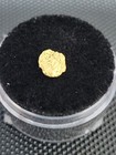  34g  grams  Yukon Nugget 