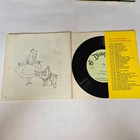 5 Disney Pater Pan Book And Record Snow White Alice Oz 3 Pigs 33 1 2   45 Rpm