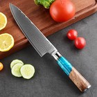 Kitchen Knife  67-layer Japanese Damascus Steel Kitchen Chopper Cooking Knives