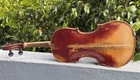 Antique American Full Size 4 4 Violin - C f  Albert 