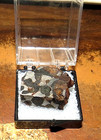 15 Gm Sericho Pallasite Meteorite Slice From Kenya Case Olivine Jal