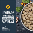 Puppy Freeze Dried Raw Meals  Natural Dry Dog Food  Grain Free - Cage Free Chick