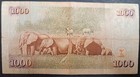 2009 Kenya 1000 Shillings P51d Cd8992163 