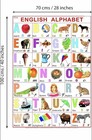 English Alphabet Chart For Kids   Laminated   70 X 100 Cm