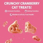 Salmon   Cranberry Urinary Tract Health Cat Treats 13 4 Oz For Indoor Cats