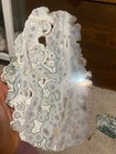 Old Stock  Ocean Jasper Slab