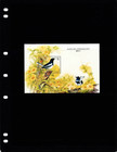  24 00 Scott Value - 1995 Macao Macau Birds S s Magpie Robin China Cv Mnh Nh Umm