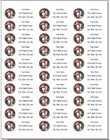 150 Christmas Wreath Pink Flamingo Mailing Return Address Labels Personalized