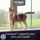 Nutramax Cosequin 80 Sprinkle Capsules For Cats