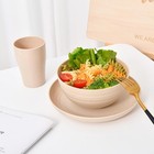 24 - Piece Wheat Straw Dinnerware Set - Plates And Bowls For 6  Unbreakable  Dis