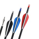 Archery Arrows Dense Shaft 12pcs 31   Training Practice Shoting Hunting Quiver
