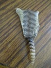 Rattlesnake Rattles W  Skin Rattle Snake Art  Jewlery Education Rattlers S13
