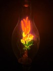 Vtg Duro-lite Aerolux Style Bird   Bouquet Flower Lites Neon Light Bulb  8868