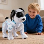 Smart Robot Dog Interactive Walking Dancing Toy For Kids Boys Girls
