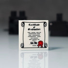 Custom Graduate Minifigure W  Diploma