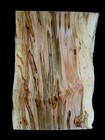 Xl  Red Ambrosia Burl Wood Slab  Epoxy stabilizing Wood  Birdseye Maple  Burl 