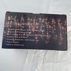 Stargazer Light Strand Twinkling Two Tone Icicle Anthropologie Terrain 15 Ft New