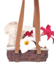 Maltese Dog In Hanging Basket Purses Home Decor  Excellent Condition