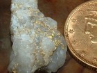 Silicate Gold Quartz Specimen 2 77 Grams Oregon Gold And Quartz