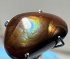 Beautiful 5 3ct Fire Agate Choice High Grade Mine Carved Cabochon  0095natural