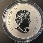 2011 -canadian Maple Leaf Forever 1 2 Oz  silver - 9999-reverse Proof -  9069