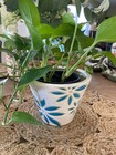 Vintage White   Blue Ceramic Planter Flower Pot