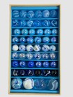  48 Billes   Co Kid s Shark Marbles Ocean Requins 52 Piece Set Box