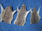 3 Rattlesnake Skin Faces Pieces Snake Skin Scraps Pen Blanks Education Art G2