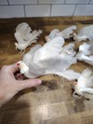 Vintage White Doves Wired Feet Lot Of 8 Faux Pearl On Beak Wings Up Table D  cor