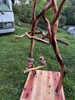 6    Manzanita Bird Perch