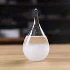 Storm Glass Weather Station Predictor  Barometer Bottle With Wood Base Small