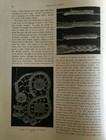 Antique 1912 The Lace Maker Venetian Crochet By Sara Hadley Booklet   