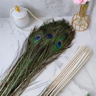 24pcs Peacock Feathers Long Natural In Bulk 32-35 Inch 80-90 Cm For V   