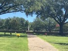  Garden Crypt In Garden Of Good Shepherd   Restland Cemetery Dallas Tx  