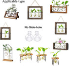 Bulb Forcing Vase Without Side-hole Plant Propagation Station Air Plant Terrariu