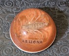Scorpion Paper Weight Arizona Poisonous Insect Souvenir